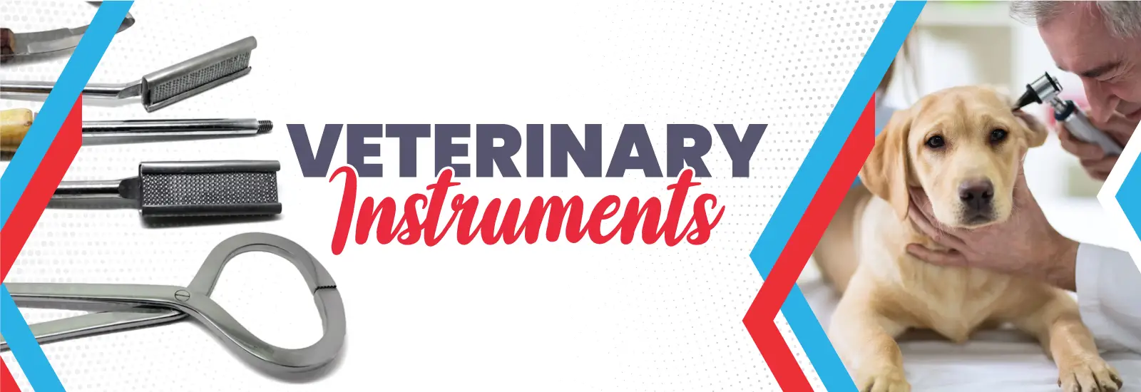 Asmed-Web-Banner-Veterinary